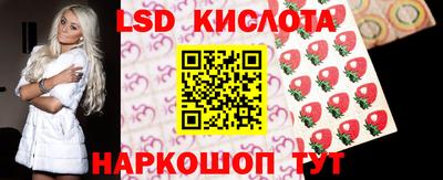молекула духа Донской