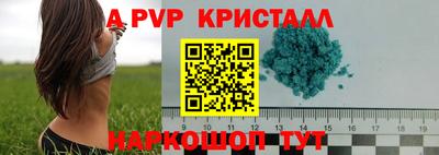 ПСИЛОЦИБИНОВЫЕ ГРИБЫ Дубна